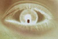 Eye of Curiousity